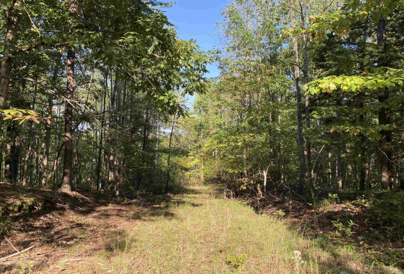 535 MEGAN LN, Savannah, Tennessee 38372, ,Land,For Sale,MEGAN,10182841