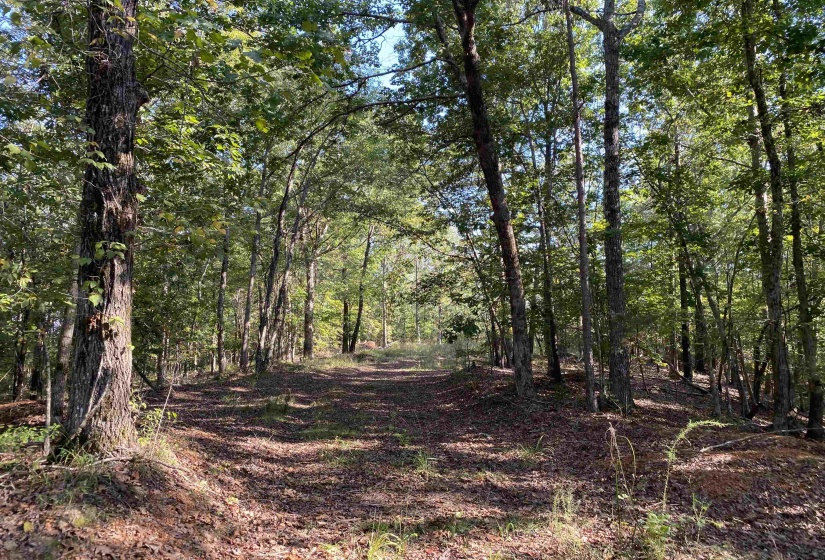 535 MEGAN LN, Savannah, Tennessee 38372, ,Land,For Sale,MEGAN,10182841