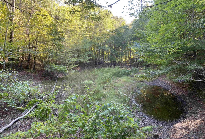 535 MEGAN LN, Savannah, Tennessee 38372, ,Land,For Sale,MEGAN,10182841