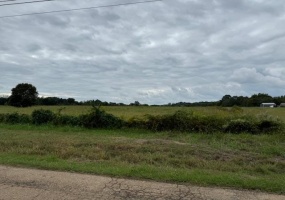 MORRISON LN, Whiteville, Tennessee 38075, ,Land,For Sale,MORRISON,10183015