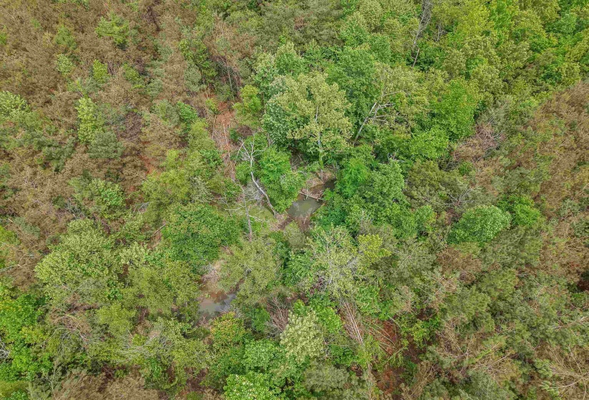 CONNIE SMITH RD, Selmer, Tennessee 38375, ,Land,For Sale,CONNIE SMITH,10183432