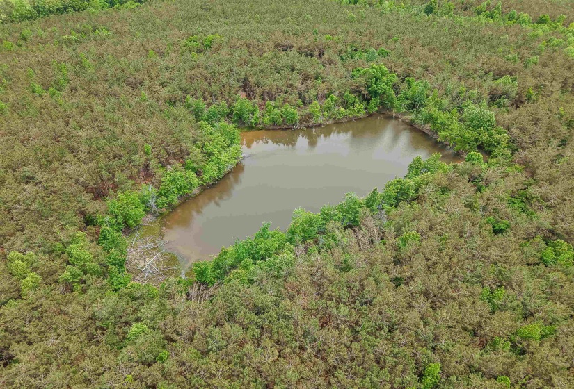 CONNIE SMITH RD, Selmer, Tennessee 38375, ,Land,For Sale,CONNIE SMITH,10183432
