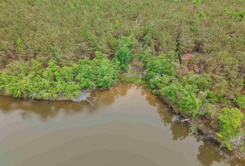 CONNIE SMITH RD, Selmer, Tennessee 38375, ,Land,For Sale,CONNIE SMITH,10183432