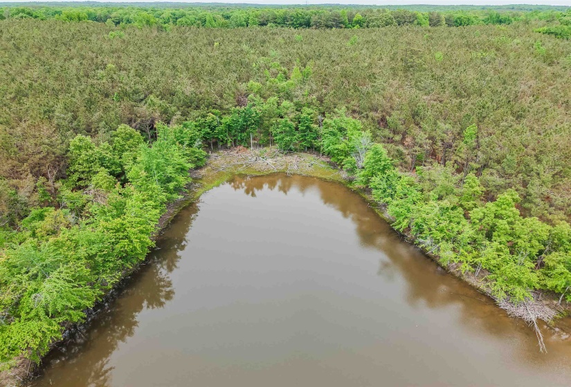 CONNIE SMITH RD, Selmer, Tennessee 38375, ,Land,For Sale,CONNIE SMITH,10183432