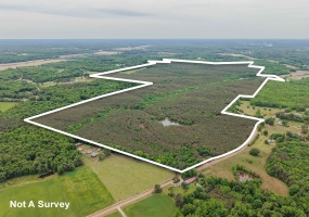 CONNIE SMITH RD, Selmer, Tennessee 38375, ,Land,For Sale,CONNIE SMITH,10183432