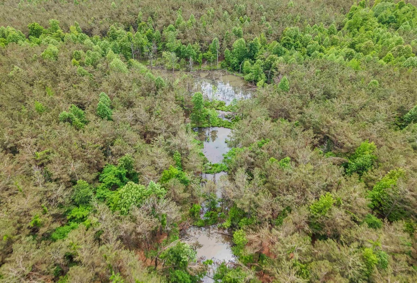 CONNIE SMITH RD, Selmer, Tennessee 38375, ,Land,For Sale,CONNIE SMITH,10183432