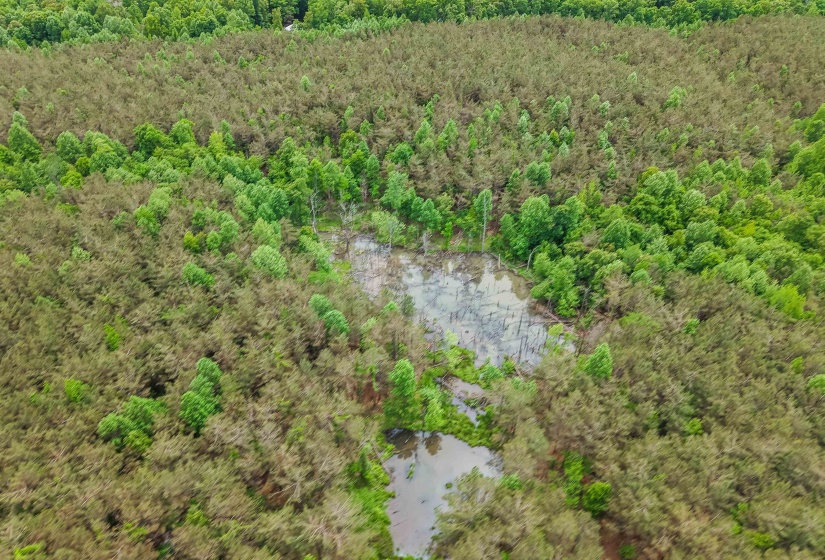 CONNIE SMITH RD, Selmer, Tennessee 38375, ,Land,For Sale,CONNIE SMITH,10183432