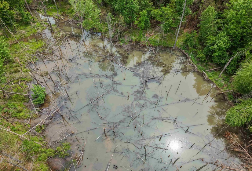 CONNIE SMITH RD, Selmer, Tennessee 38375, ,Land,For Sale,CONNIE SMITH,10183432