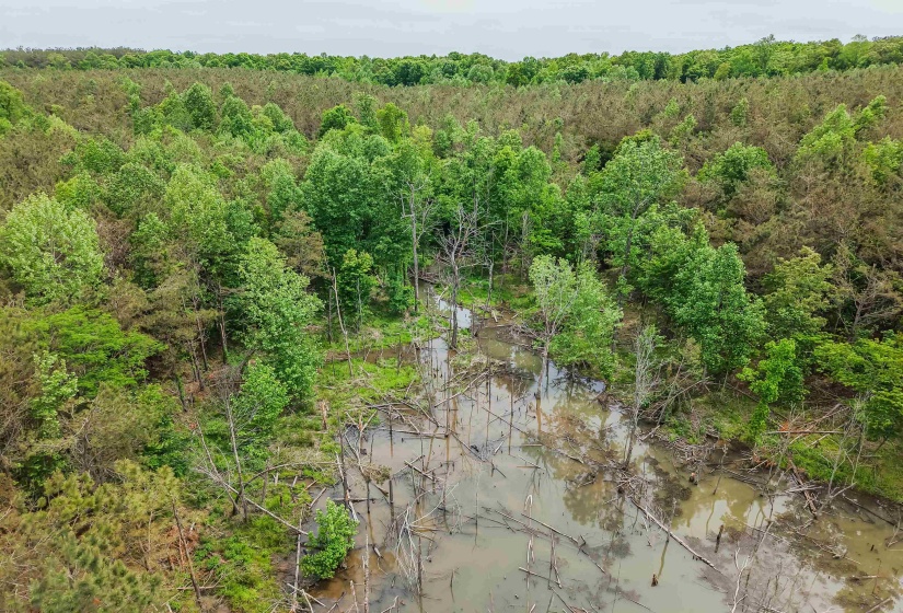 CONNIE SMITH RD, Selmer, Tennessee 38375, ,Land,For Sale,CONNIE SMITH,10183432