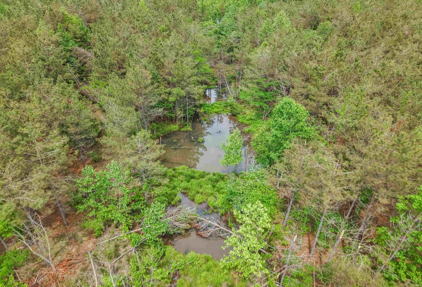 CONNIE SMITH RD, Selmer, Tennessee 38375, ,Land,For Sale,CONNIE SMITH,10183432