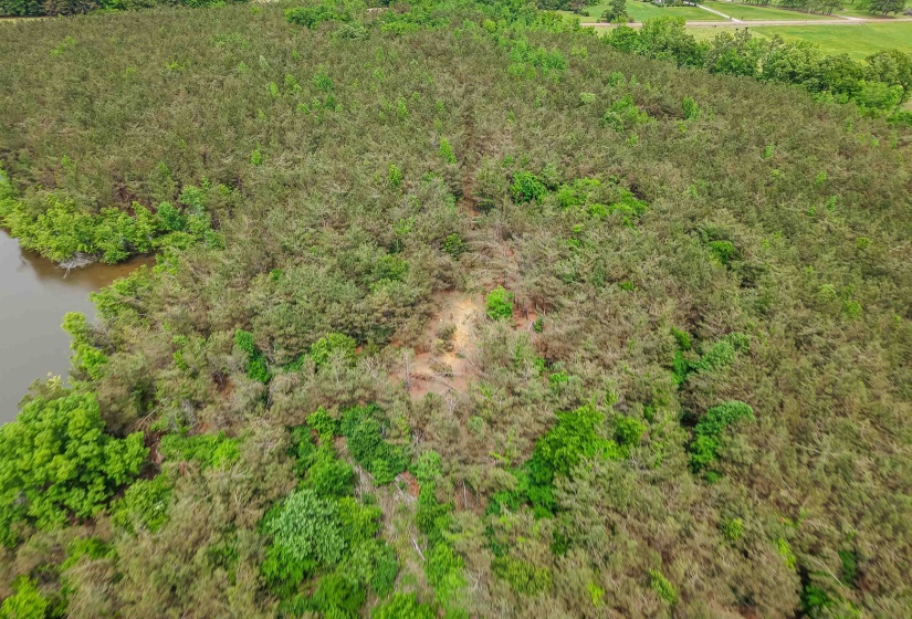 CONNIE SMITH RD, Selmer, Tennessee 38375, ,Land,For Sale,CONNIE SMITH,10183432