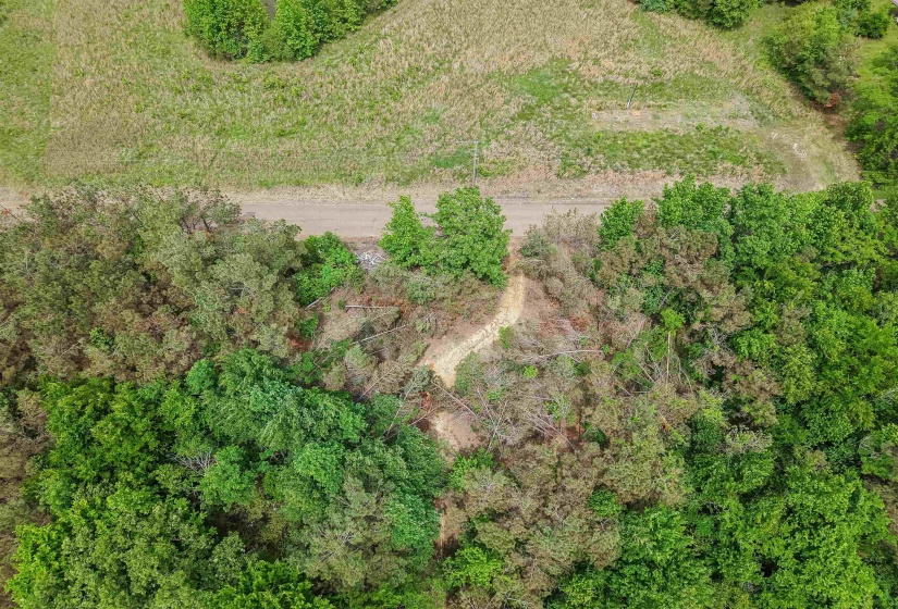 CONNIE SMITH RD, Selmer, Tennessee 38375, ,Land,For Sale,CONNIE SMITH,10183432