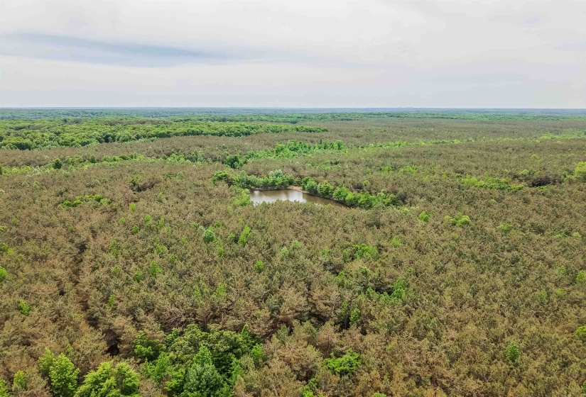 CONNIE SMITH RD, Selmer, Tennessee 38375, ,Land,For Sale,CONNIE SMITH,10183432