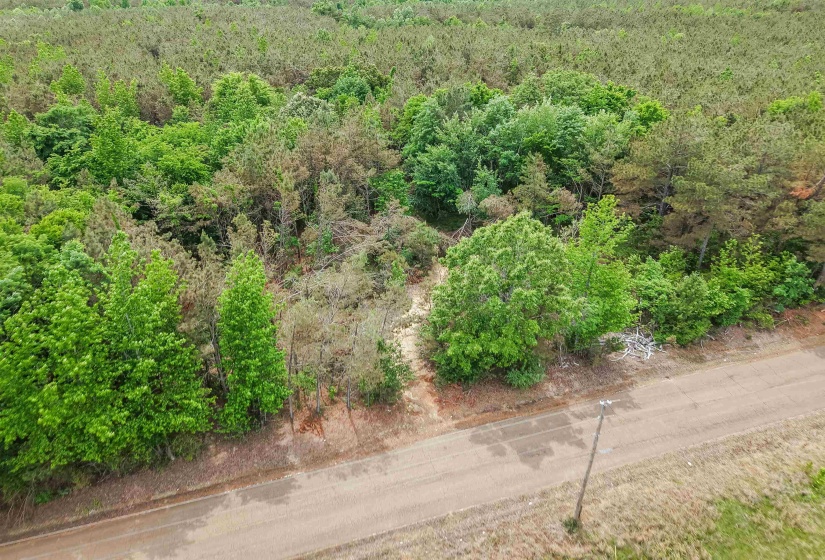 CONNIE SMITH RD, Selmer, Tennessee 38375, ,Land,For Sale,CONNIE SMITH,10183432