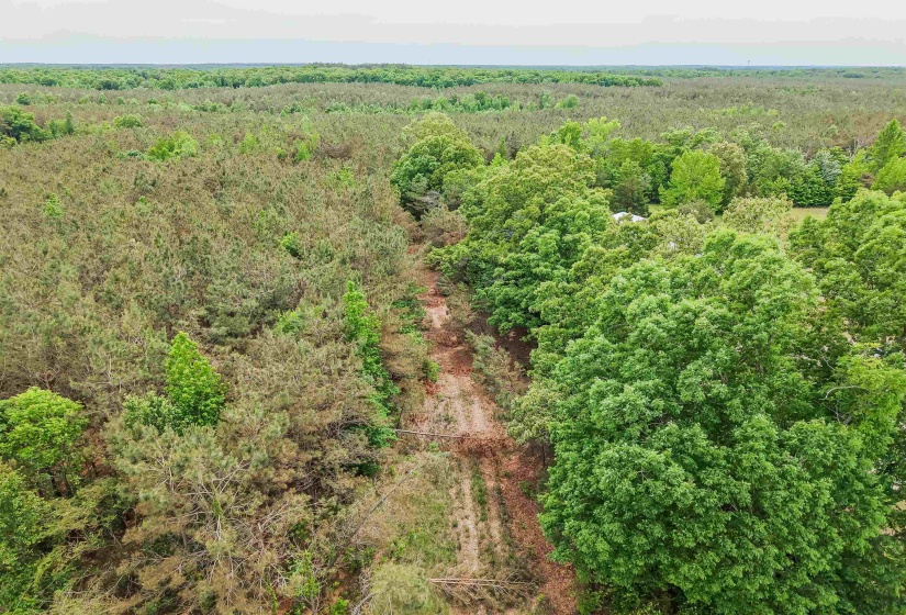 CONNIE SMITH RD, Selmer, Tennessee 38375, ,Land,For Sale,CONNIE SMITH,10183432