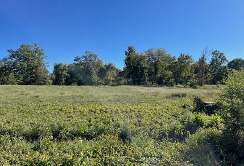 LOT 134 CRAVENS RD, Savannah, Tennessee 38372, ,Land,For Sale,CRAVENS,10183522