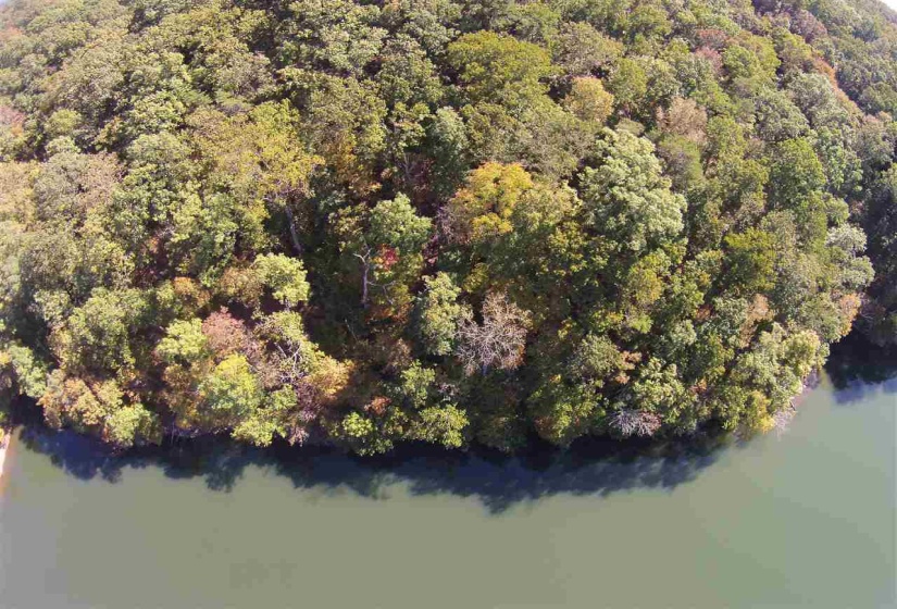 LOT 111 BRIGHT VIEW LN, Savannah, Tennessee 38372, ,Land,For Sale,BRIGHT VIEW,10184321