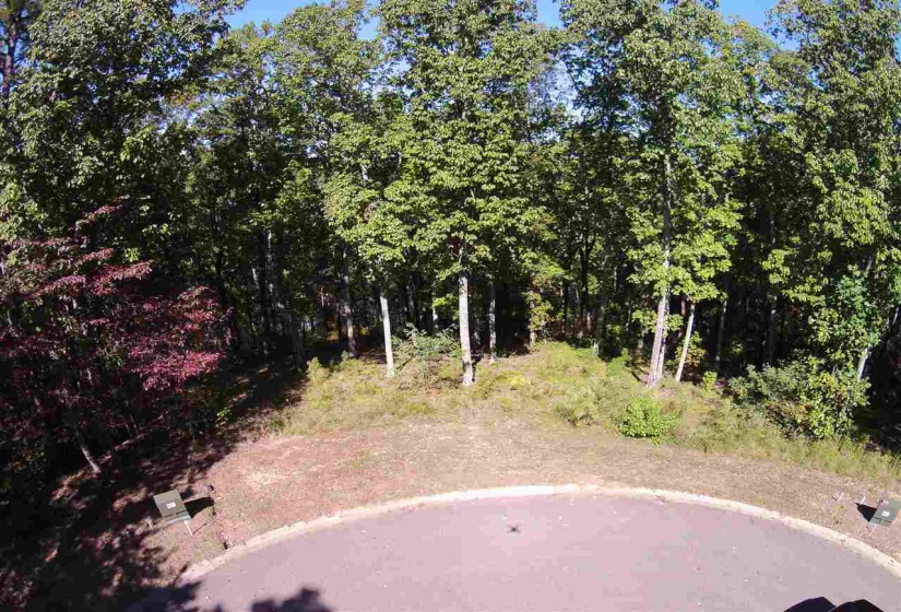 LOT 111 BRIGHT VIEW LN, Savannah, Tennessee 38372, ,Land,For Sale,BRIGHT VIEW,10184321