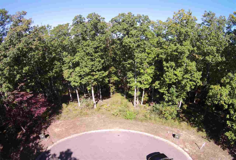 LOT 111 BRIGHT VIEW LN, Savannah, Tennessee 38372, ,Land,For Sale,BRIGHT VIEW,10184321