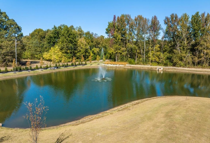 Water view