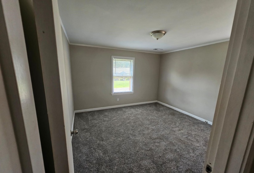 Unfurnished room featuring crown molding and dark carpet