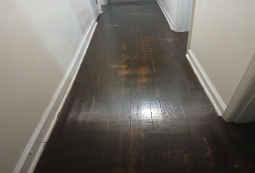 Corridor with dark hardwood / wood-style flooring