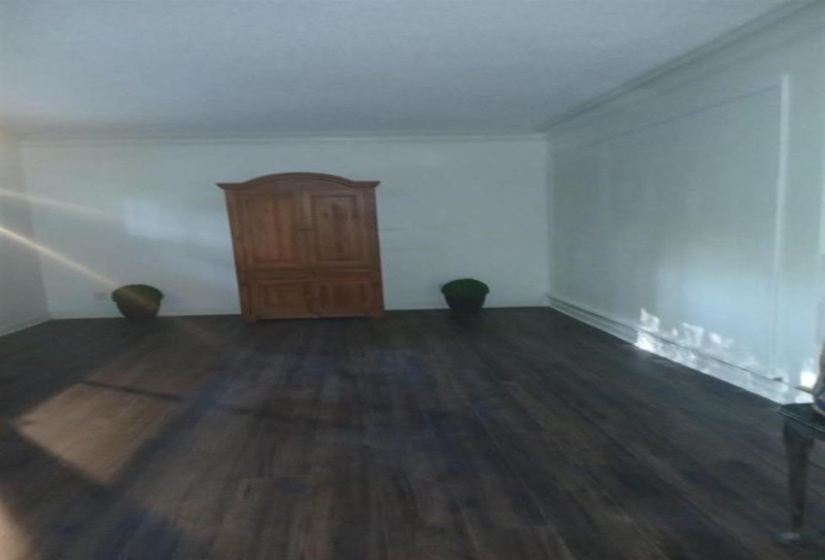 Spare room featuring ornamental molding and dark wood-type flooring
