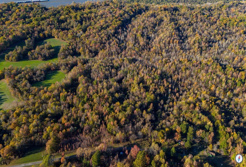 618 OLD FULTON RD, Henning, Tennessee 38041, ,Land,For Sale,OLD FULTON,10185857