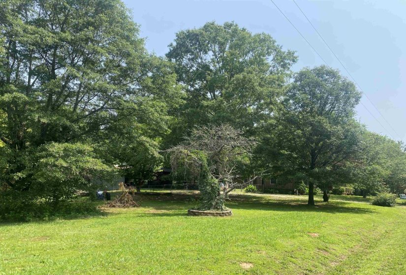View of grassy yard featuring view of wooded area