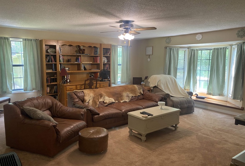 Living area featuring a textured ceiling, a ceiling fan, and carpet floors