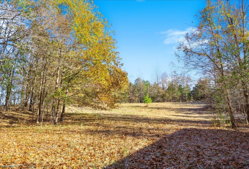2260 REID-HOOKER RD, Unincorporated, Tennessee 38028, ,Land,For Sale,REID-HOOKER,10186423