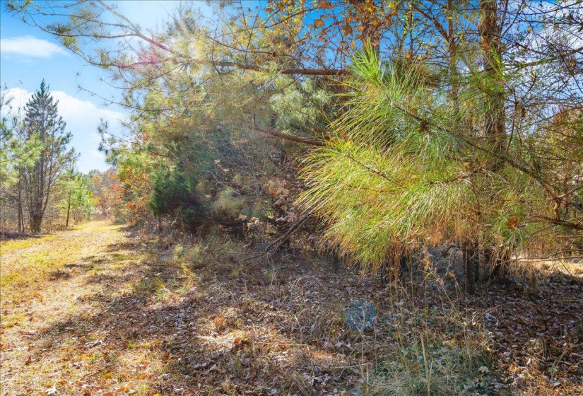 2260 REID-HOOKER RD, Unincorporated, Tennessee 38028, ,Land,For Sale,REID-HOOKER,10186423