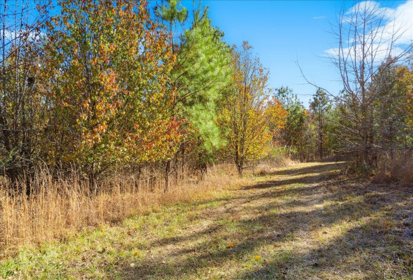 2260 REID-HOOKER RD, Unincorporated, Tennessee 38028, ,Land,For Sale,REID-HOOKER,10186423