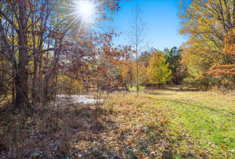 2260 REID-HOOKER RD, Unincorporated, Tennessee 38028, ,Land,For Sale,REID-HOOKER,10186423