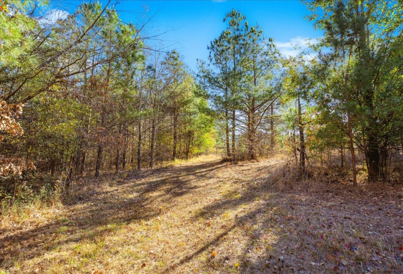 2260 REID-HOOKER RD, Unincorporated, Tennessee 38028, ,Land,For Sale,REID-HOOKER,10186423