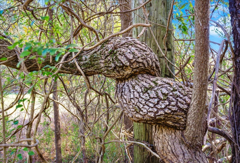 2260 REID-HOOKER RD, Unincorporated, Tennessee 38028, ,Land,For Sale,REID-HOOKER,10186423