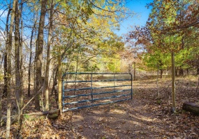 2260 REID-HOOKER RD, Unincorporated, Tennessee 38028, ,Land,For Sale,REID-HOOKER,10186423 2260 REID-HOOKER RD, Unincorporated, Tennessee 38028, ,Land,For Sale,REID-HOOKER,10186423