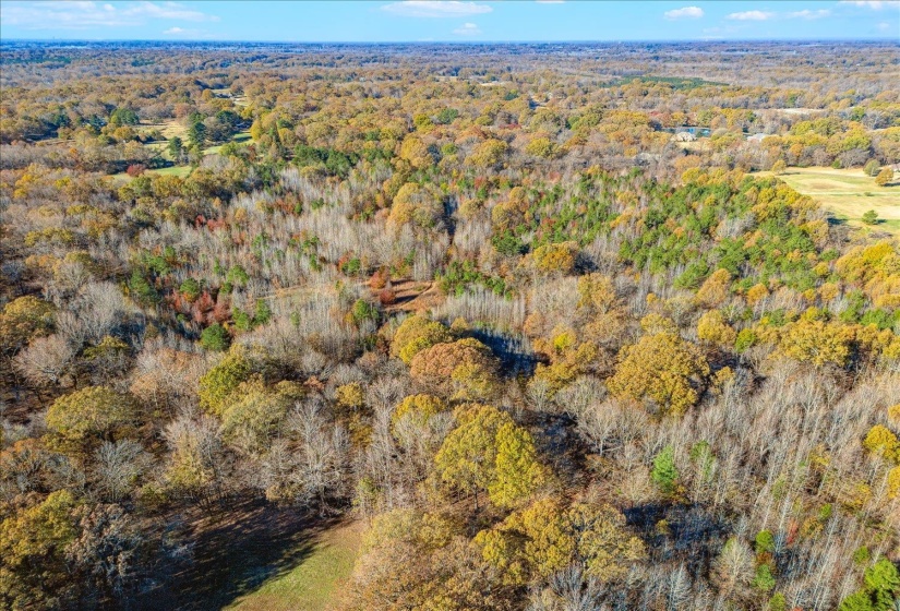 2260 REID-HOOKER RD, Unincorporated, Tennessee 38028, ,Land,For Sale,REID-HOOKER,10186423