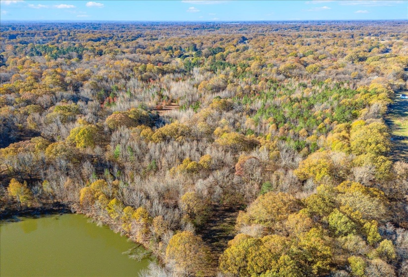 2260 REID-HOOKER RD, Unincorporated, Tennessee 38028, ,Land,For Sale,REID-HOOKER,10186423