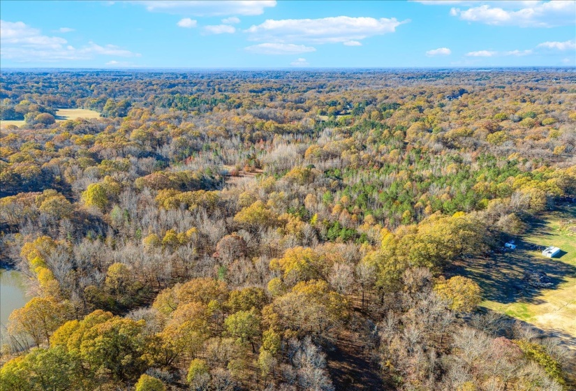 2260 REID-HOOKER RD, Unincorporated, Tennessee 38028, ,Land,For Sale,REID-HOOKER,10186423