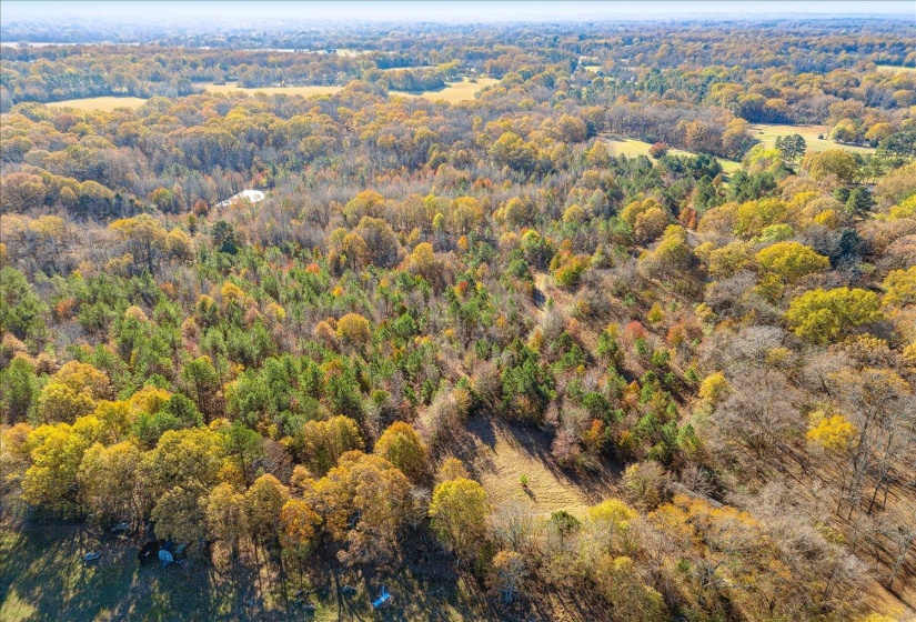 2260 REID-HOOKER RD, Unincorporated, Tennessee 38028, ,Land,For Sale,REID-HOOKER,10186423