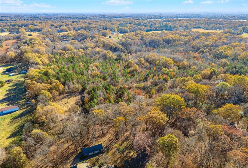 2260 REID-HOOKER RD, Unincorporated, Tennessee 38028, ,Land,For Sale,REID-HOOKER,10186423