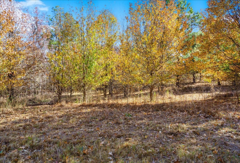 2260 REID-HOOKER RD, Unincorporated, Tennessee 38028, ,Land,For Sale,REID-HOOKER,10186423