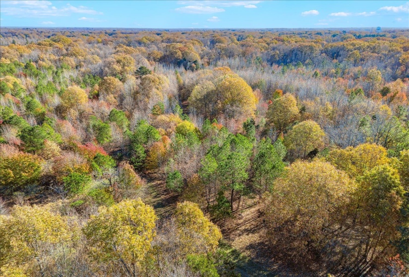 2260 REID-HOOKER RD, Unincorporated, Tennessee 38028, ,Land,For Sale,REID-HOOKER,10186423