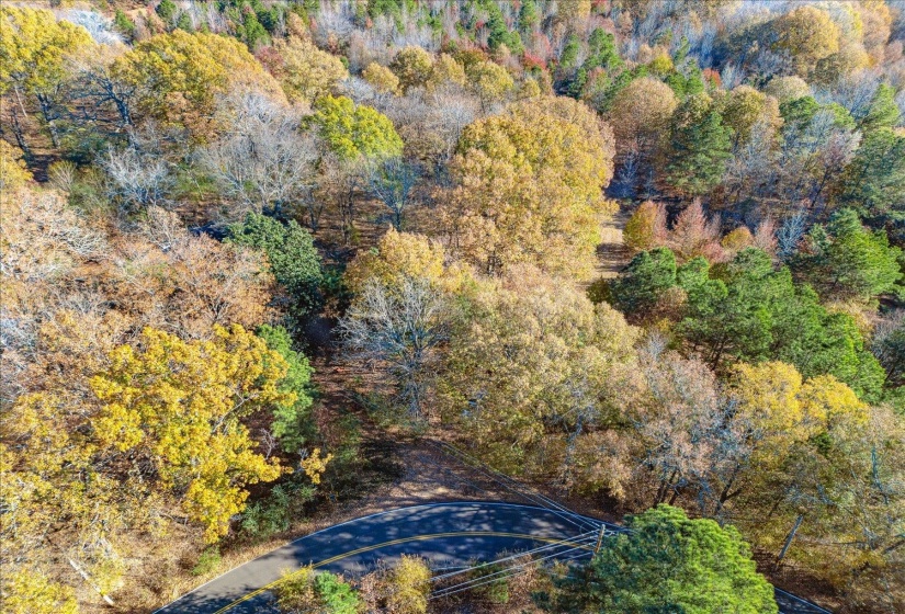 2260 REID-HOOKER RD, Unincorporated, Tennessee 38028, ,Land,For Sale,REID-HOOKER,10186423