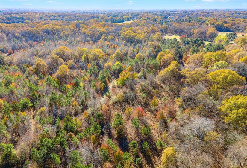 2260 REID-HOOKER RD, Unincorporated, Tennessee 38028, ,Land,For Sale,REID-HOOKER,10186423