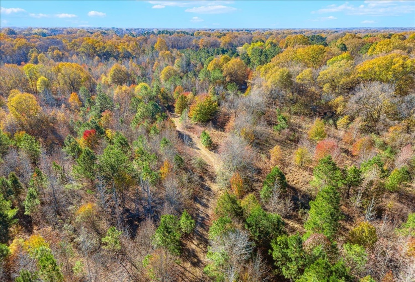 2260 REID-HOOKER RD, Unincorporated, Tennessee 38028, ,Land,For Sale,REID-HOOKER,10186423