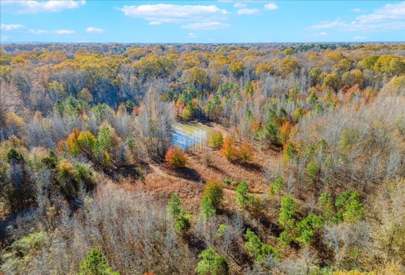 2260 REID-HOOKER RD, Unincorporated, Tennessee 38028, ,Land,For Sale,REID-HOOKER,10186423