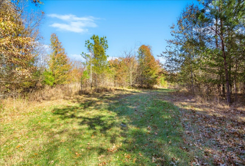 2260 REID-HOOKER RD, Unincorporated, Tennessee 38028, ,Land,For Sale,REID-HOOKER,10186423