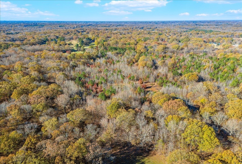 2260 REID-HOOKER RD, Unincorporated, Tennessee 38028, ,Land,For Sale,REID-HOOKER,10186423